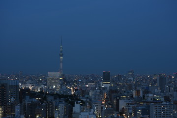 Fototapeta na wymiar 日本の東京都市景観・夕景（墨田区方面を望む）