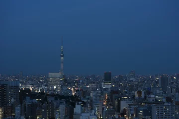 Fotobehang 日本の東京都市景観・夕景（墨田区方面を望む） © Ryuji
