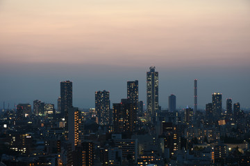 日本の東京都市景観・夜景（池袋方向を望む）