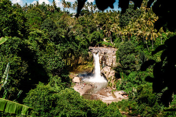 Tegenungan Waterfall. Beautiful powerful waterfall in the midst of a dense green rainforest or jungle. Top view. Bali, Indonesia © linortis