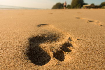 Footprint in the beach sand