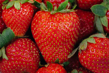 Bucket of strawberries