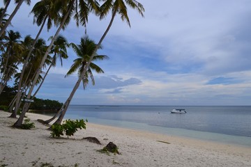 Philippines beach with coconut and ocean view