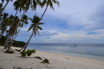 Fototapeta na wymiar Philippines beach with coconut and ocean view