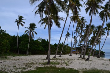 Philippines beach with coconut and ocean view