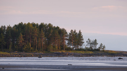 Low Tide At The Coast Of The White Sea, Russia. Severe Northern Russian Landscape With  Deserted...