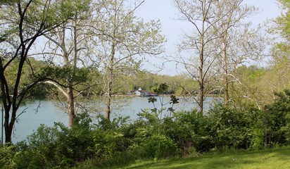 The lake from between the trees.