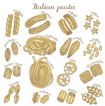 vector colored set of hand drawn different pasta shapes