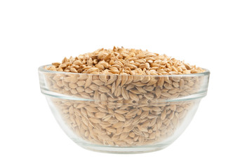 Barley seeds in a bowl islated on white