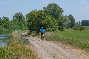Fototapeta premium Ciclista nella strada di campagna