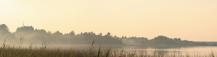 Panoramic view of the shore of the forest lake in the fog