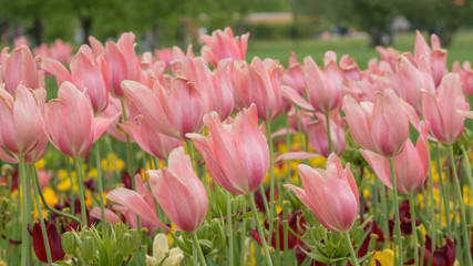 Im Gleichklang - in unison