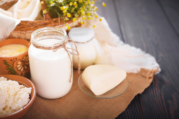 Obraz na płótnie Canvas Assorted dairy products milk, yogurt, cottage cheese, sour cream. Rustic still life.