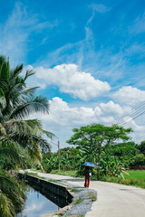 Woman with umbrella walk on the road with coconut tree and green rice field on the way side in cloudy blue sky