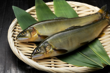 鮎　Japanese sweetfish