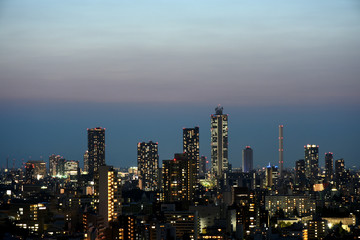 日本の東京都市風景・夜景（池袋方向を望む）