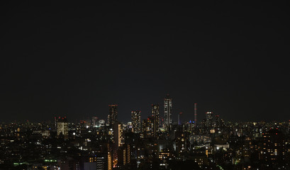 Fototapeta na wymiar 日本の東京都市景観・夜景（池袋方向を望む）