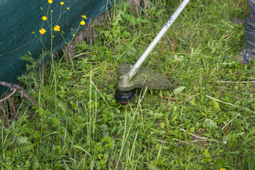 lawn trimmer in action, weed whacker, strimmer, string trimmer, weed eater