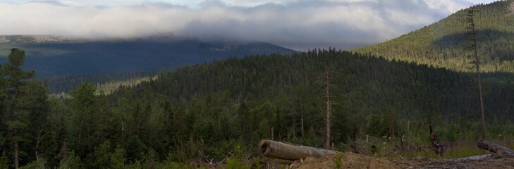 Summer in the mountains. Mountain ranges over the forest. Panoramic view of the mountains.