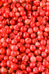 Pink Pepper