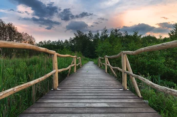 Poster de jardin Nature Wooden path bridge over lake at sunset after the storm