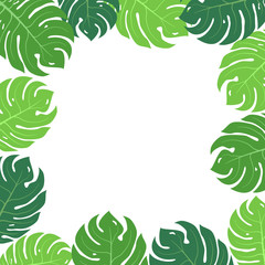 Tropical leaves frame