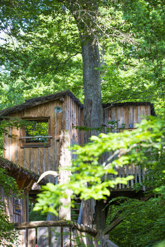 Dormir dans une cabane dans les arbres