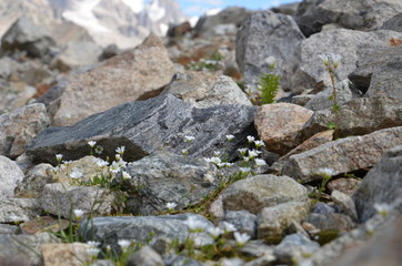 in the foothills of Mount Elbrus