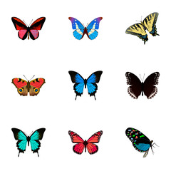 Fototapeta na wymiar Realistic American Painted Lady, Hairstreak, Azure Peacock And Other Vector Elements. Set Of Butterfly Realistic Symbols Also Includes Morpho, Blue, Hairstreak Objects.