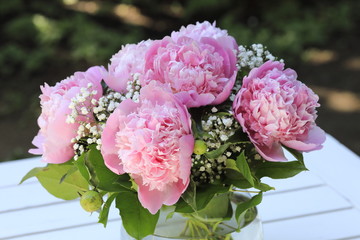 Pfingstrosen in einer Vase