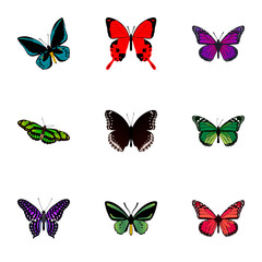 Fototapeta na wymiar Realistic Tropical Moth, Azure Peacock, Spicebush And Other Vector Elements. Set Of Butterfly Realistic Symbols Also Includes Fly, Hypolimnas, Purple Objects.