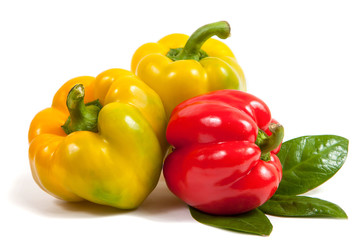 sweet red and yellow pepper isolated on white background