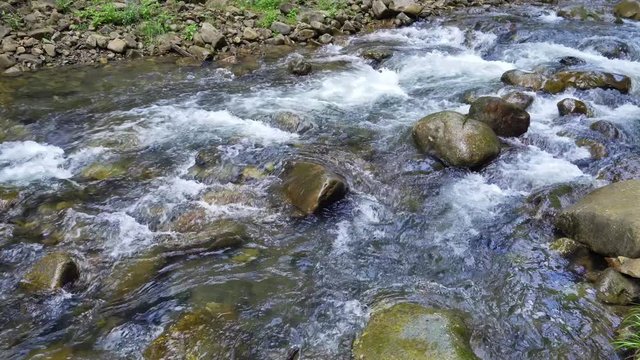 Mountain spring stream in a wild forest. 4K video.