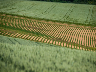 Ackerbau