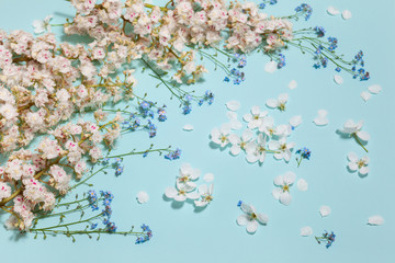 Spring aqua blue background with white blooming chestnut, apple and forget-me-not flowers, close-up perspective view, arc composition
