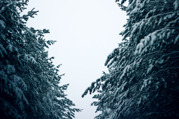 Зимний вид © andreswestrum