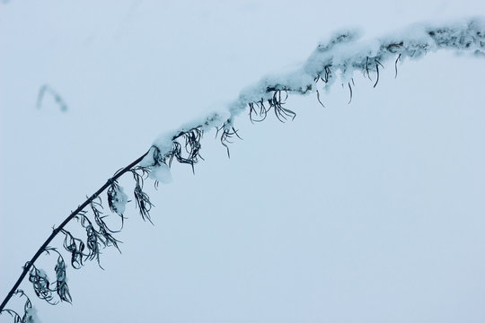 Fototapeta Зимний вид