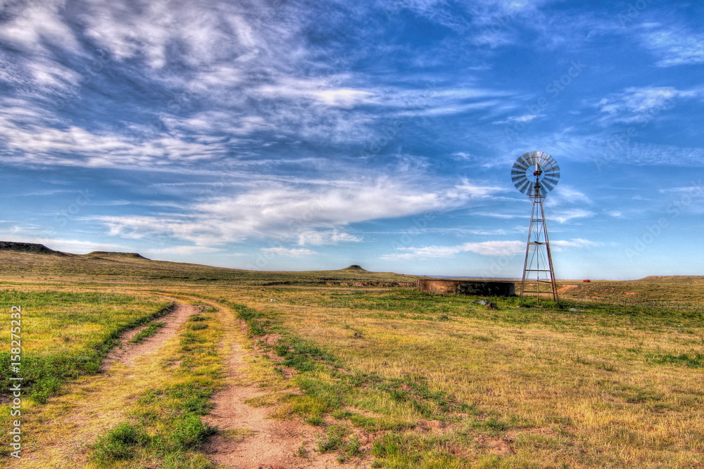 Poster texas water well and windmill