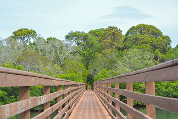 Fototapeta na wymiar A walkway over the inland waterway at McGough Nature Park in Indian Rocks Beach, Florida.