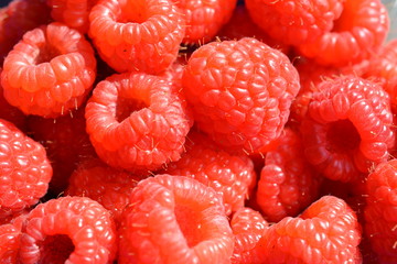 Himbeeren