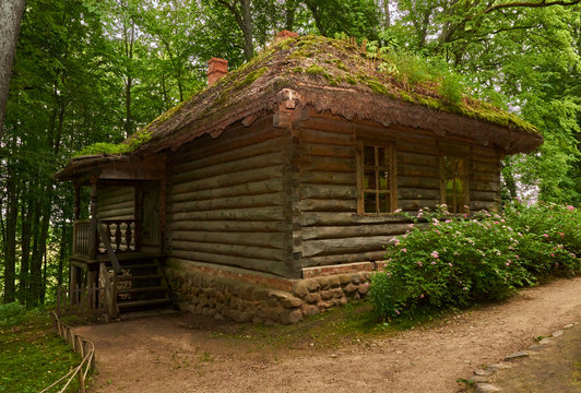 A log bathhouse/A log sauna is located on a hill in a pine forest. The foundation of the bath is stone. The roof is inclined and covered with moss.