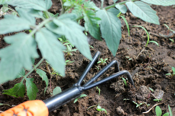 abstraction with garden tool