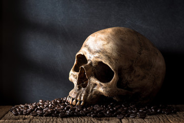 human skull on heap of coffee beans with window light