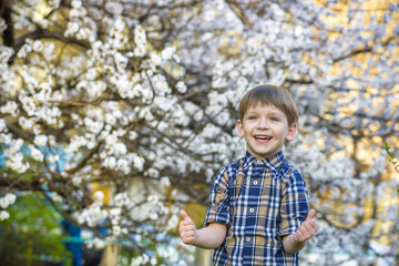 toddler boy in spring time near the blossom tree smiling happy boy
