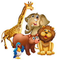 Many wild animals in the zoo