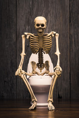 human skeleton figure sitting on flush toilet at old wood wall, he smiling and happy face