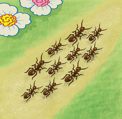 Ants walking along the path - jpg illustration