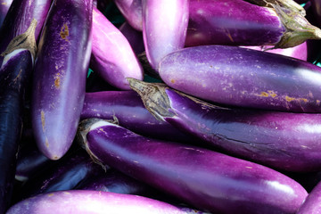 Aubergine