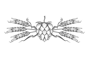 black illustration of hop and barley ear for brewing