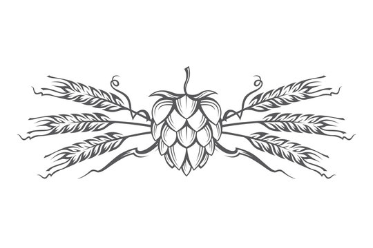 black illustration of hop and barley ear for brewing